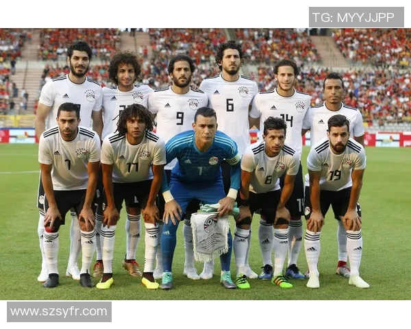 埃及足球球星身高对比赛表现的影响与分析