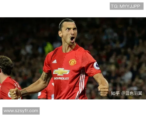 属猪的足球球星：从赛场到生活的传奇故事与背后的奋斗精神