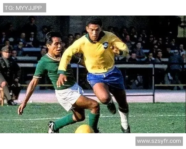 巴西足球球星历史排名揭晓 谁是巴西足坛的真正传奇人物