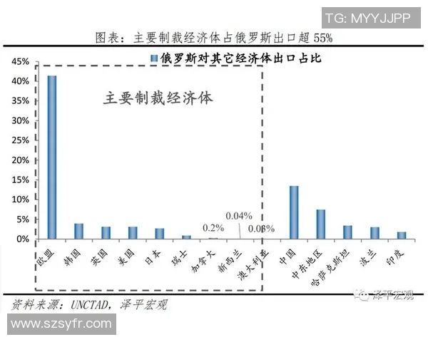 带鹰足球队球星的崛起与辉煌历程分析及其对现代足球的影响